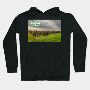 Vineyard on Lake Erie Shoreline Hoodie